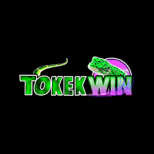 tokekwin - Perekam Layar APK